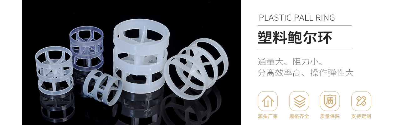 塑料鮑爾環(huán)1300_01.jpg