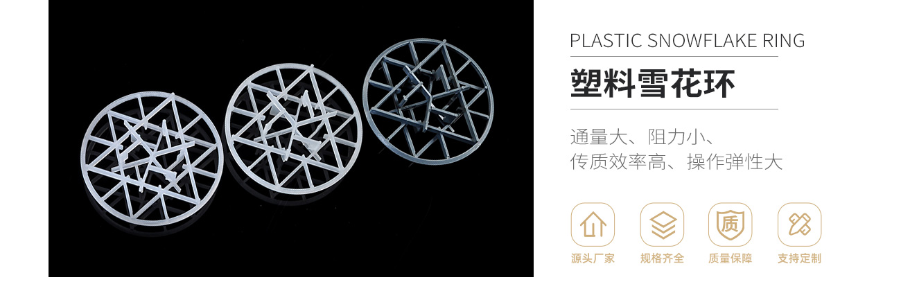 塑料雪花環1300_01.jpg